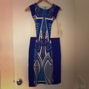 Beautiful Muse stretchy knee length dress!